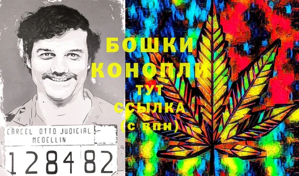спиды Алзамай