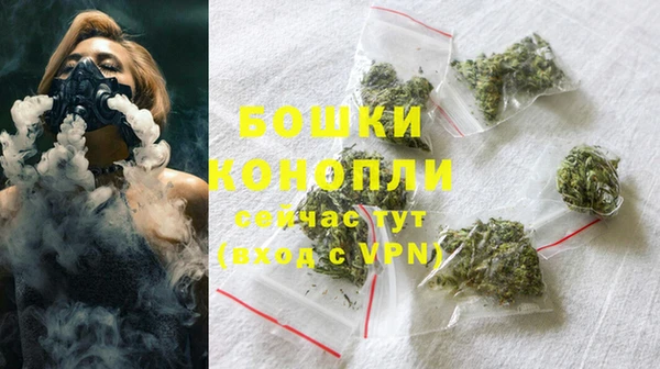 хмурый Семилуки