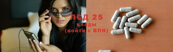 СК Алексин
