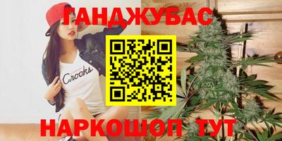 прущие грибы Гагарин