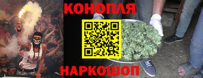 прущие грибы Гагарин