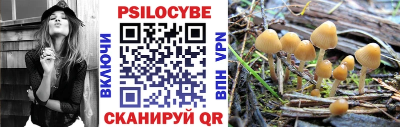 Псилоцибиновые грибы Magic Shrooms  Железноводск 