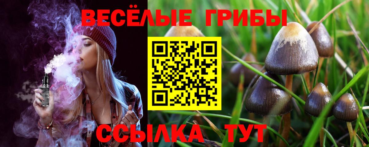 Галлюциногенные грибы GOLDEN TEACHER  Вход с VPN  Псилоцибиновые грибы Psilocybe  Железноводск 
