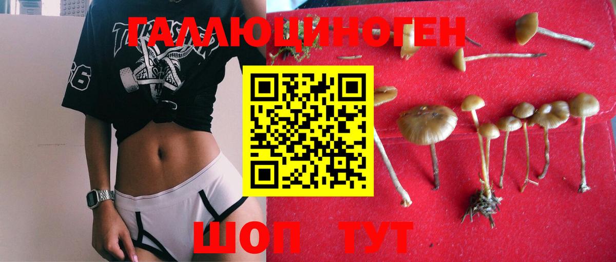 МЕФ Железноводск